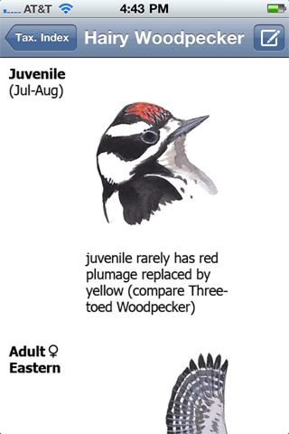 Sibley has the answer