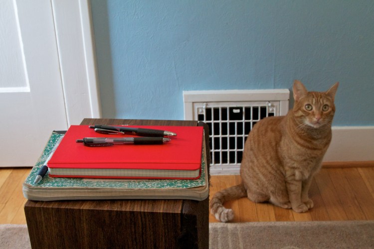 The new notebook and pens sitting on the old, both sitting in front of a sitting Sam